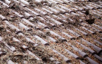 Bosleake roof cleaning companies